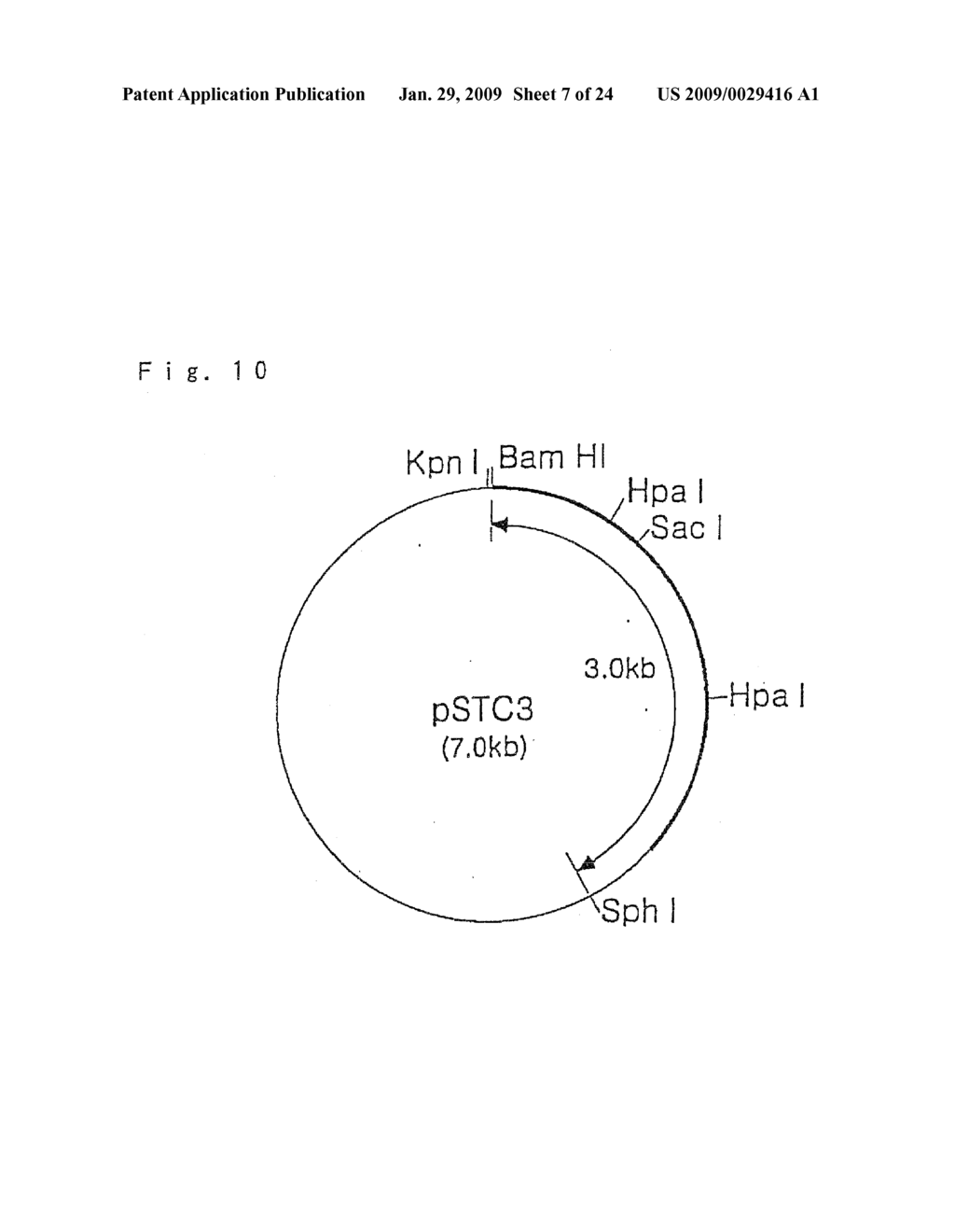 HYPERTHERMOSTABLE PROTEASE GENE - diagram, schematic, and image 08