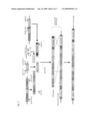 Recombinant Microorganism diagram and image