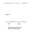 METHOD FOR CLONING AND EXPRESSION OF STUI RESTRICTION ENDONUCLEASE AND STUI METHYLASE IN E. COLI diagram and image