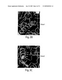 Recombinase polymerase amplification diagram and image