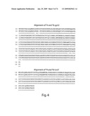 Recombinase polymerase amplification diagram and image