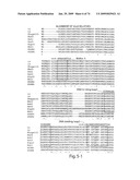 Recombinase polymerase amplification diagram and image