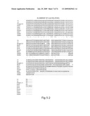 Recombinase polymerase amplification diagram and image