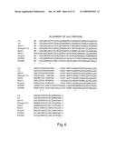 Recombinase polymerase amplification diagram and image