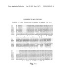 Recombinase polymerase amplification diagram and image