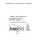 Recombinase polymerase amplification diagram and image