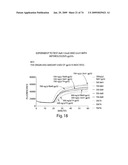 Recombinase polymerase amplification diagram and image