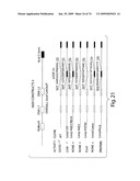 Recombinase polymerase amplification diagram and image