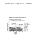 Recombinase polymerase amplification diagram and image