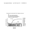 Recombinase polymerase amplification diagram and image