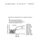 Recombinase polymerase amplification diagram and image