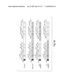 Recombinase polymerase amplification diagram and image