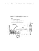 Recombinase polymerase amplification diagram and image