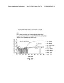 Recombinase polymerase amplification diagram and image