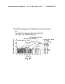 Recombinase polymerase amplification diagram and image