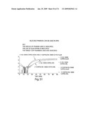 Recombinase polymerase amplification diagram and image