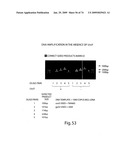 Recombinase polymerase amplification diagram and image