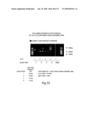 Recombinase polymerase amplification diagram and image