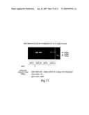 Recombinase polymerase amplification diagram and image