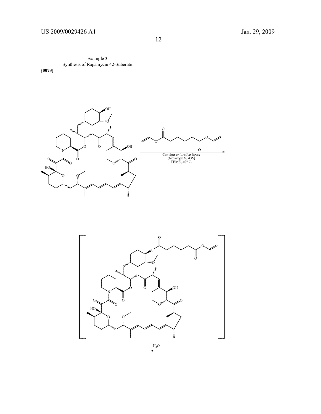 PROCESS FOR PREPARING RAPAMYCIN 42-ESTERS AND FK-506 32-ESTERS WITH DICARBOXYLIC ACID, PRECURSORS FOR RAPAMYCIN CONJUGATES AND ANTIBODIES - diagram, schematic, and image 13