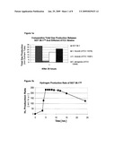 HYDROGEN PRODUCING MICROORGANISM USEFUL FOR ENERGY GENERATION FROM DIVERSE CARBOHYDRATES diagram and image