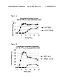 HYDROGEN PRODUCING MICROORGANISM USEFUL FOR ENERGY GENERATION FROM DIVERSE CARBOHYDRATES diagram and image