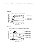 HYDROGEN PRODUCING MICROORGANISM USEFUL FOR ENERGY GENERATION FROM DIVERSE CARBOHYDRATES diagram and image