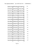 NEOPLASM-SPECIFIC POLYPEPTIDES AND THEIR USES diagram and image