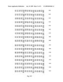 NEOPLASM-SPECIFIC POLYPEPTIDES AND THEIR USES diagram and image