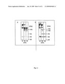 NEOPLASM-SPECIFIC POLYPEPTIDES AND THEIR USES diagram and image