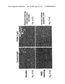 NEOPLASM-SPECIFIC POLYPEPTIDES AND THEIR USES diagram and image