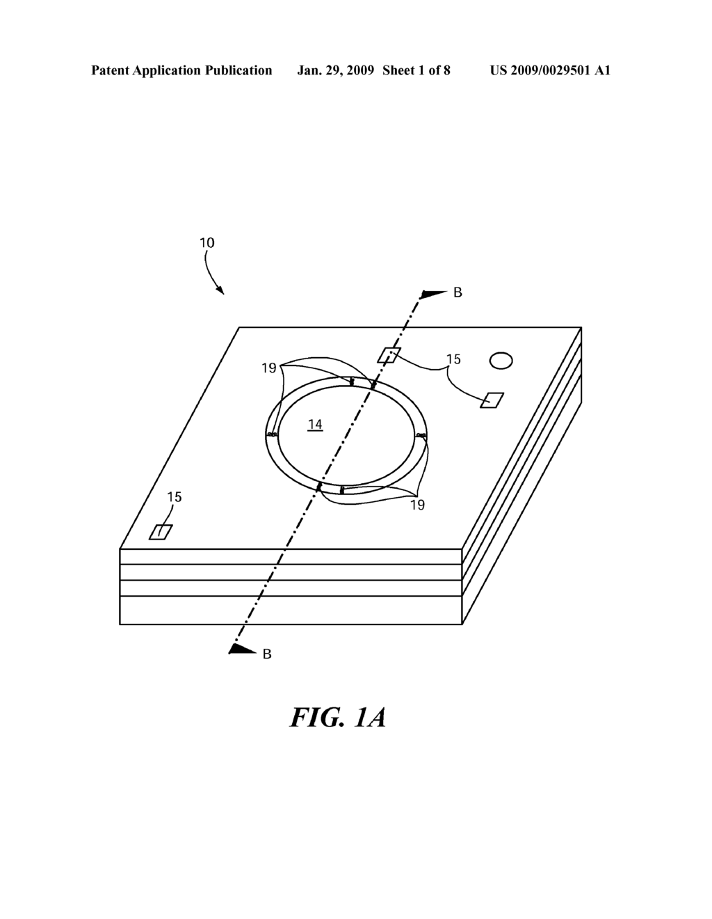 Process of Forming a Microphone Using Support Member - diagram, schematic, and image 02