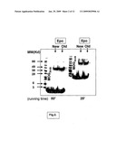 ERYTHROPOIETIN-DERIVED SHORT PEPTIDE AND ITS MIMICS AS IMMUNO/INFLAMMATORY MODULATORS diagram and image