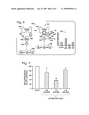 INTERACTION OF BIM WITH TRIM2, AN E3 UBIQUITIN LIGASE diagram and image