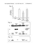 INTERACTION OF BIM WITH TRIM2, AN E3 UBIQUITIN LIGASE diagram and image