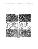 PYRIDAZINE COMPOUNDS AND METHODS diagram and image