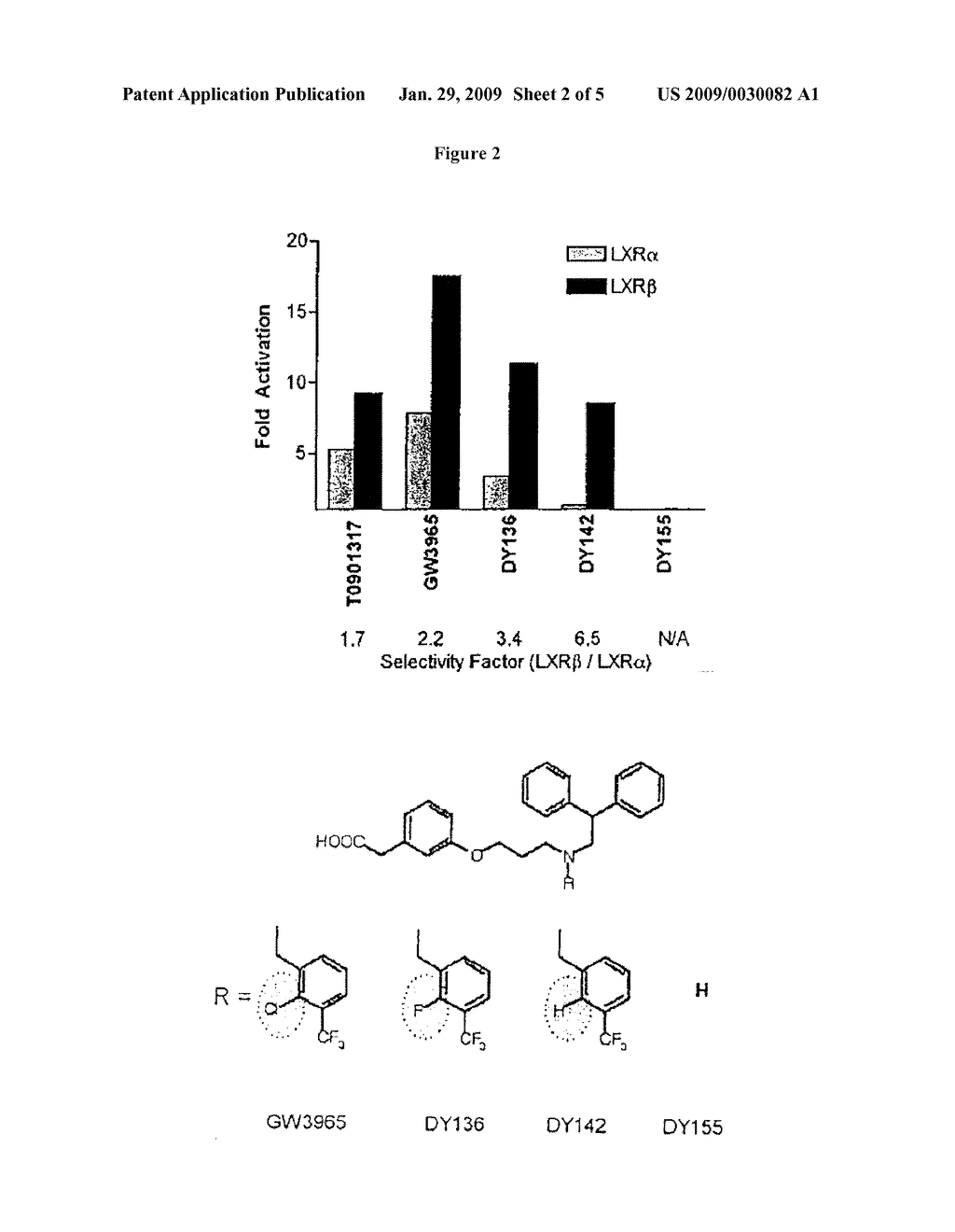 SYNTHETIC LIGANDS SELECTIVE FOR LXRbeta OVER LXRalpha, IDENTIFICATION AND METHODS OF USE THEREOF - diagram, schematic, and image 03