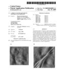 Carbon nanotube reinforced polymer nanocomposites diagram and image