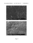 Carbon nanotube reinforced polymer nanocomposites diagram and image