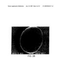 POROUS POLYMERIC PARTICLE COMPRISING POLYVINYL ALCOHOL AND HAVING INTERIOR TO SURFACE POROSITY-GRADIENT diagram and image