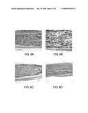 CELL-FREE TISSUE REPLACEMENT FOR TISSUE ENGINEERING diagram and image