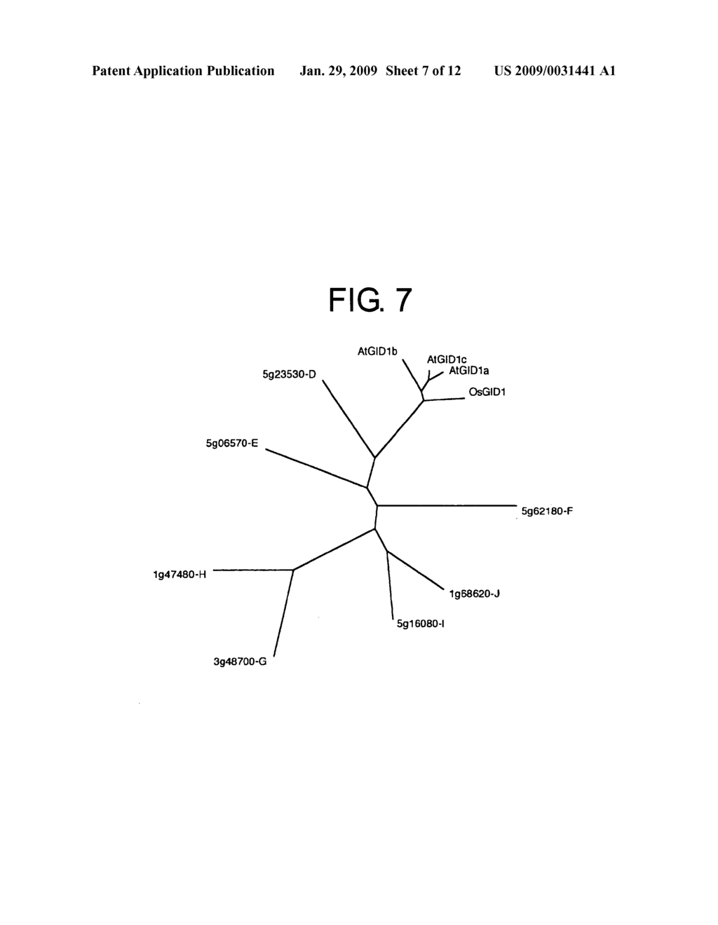 Regulatory Genes for Plant Differentiation and Growth, and Use of the Same - diagram, schematic, and image 08