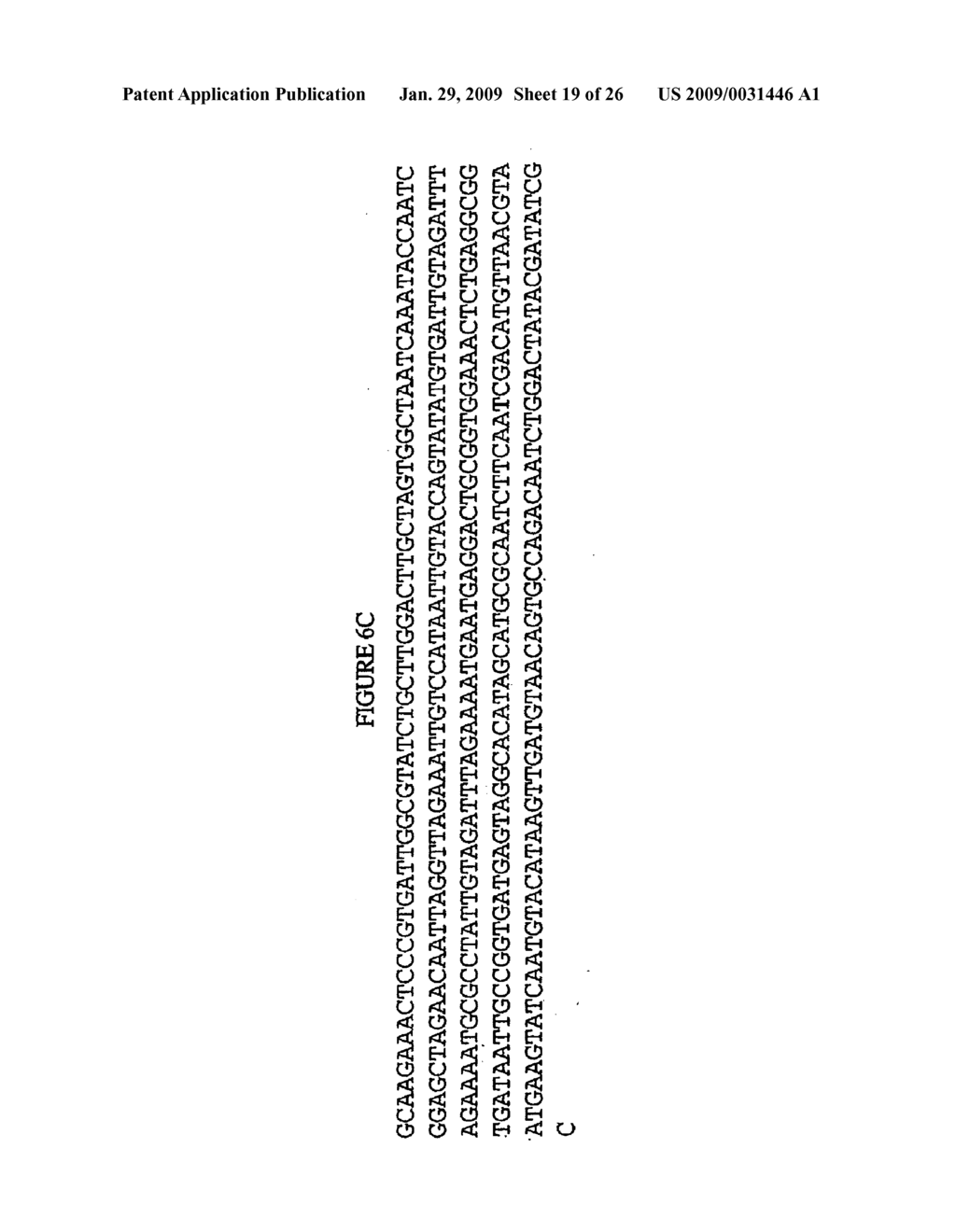 Scarecrow-Like Stress-Related Polypeptides and Methods of Use in Plants - diagram, schematic, and image 20