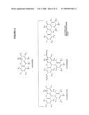 UV Excitable Fluorescent Energy Transfer Dyes diagram and image