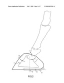 Horseshoe And Balancing Method diagram and image