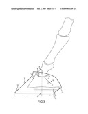 Horseshoe And Balancing Method diagram and image