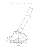 Horseshoe And Balancing Method diagram and image