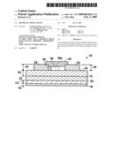 Microelectronic device diagram and image