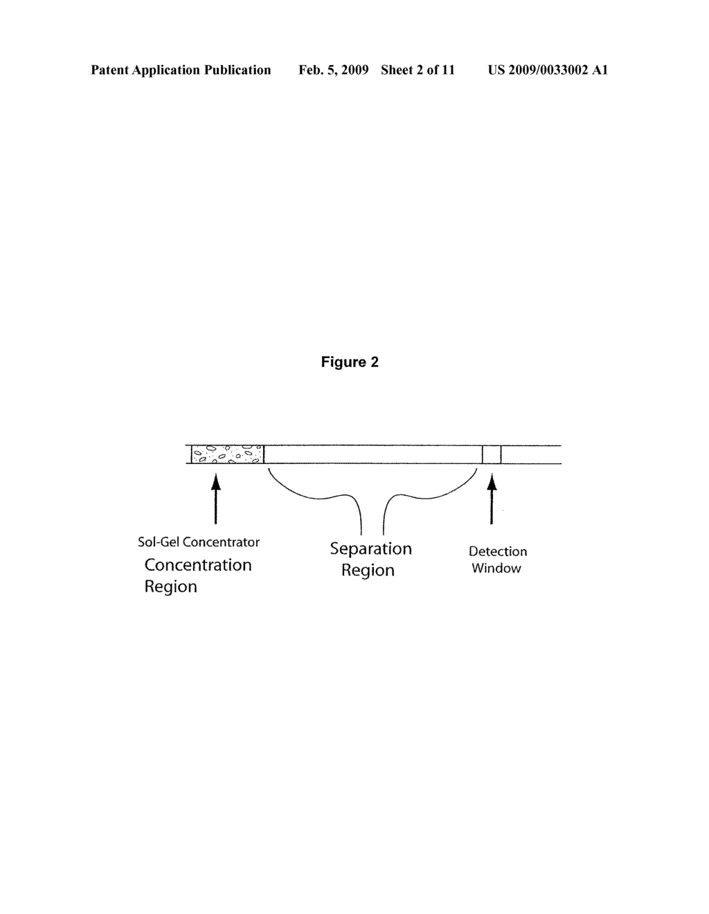 METHODS AND APPARATUS FOR IMPROVING THE SENSITIVITY OF CAPILLARY ZONE ELECTROPHORESIS - diagram, schematic, and image 03