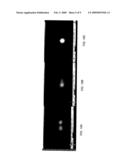 METHOD OF MEASURING DIFFRACTIVE LENSES diagram and image